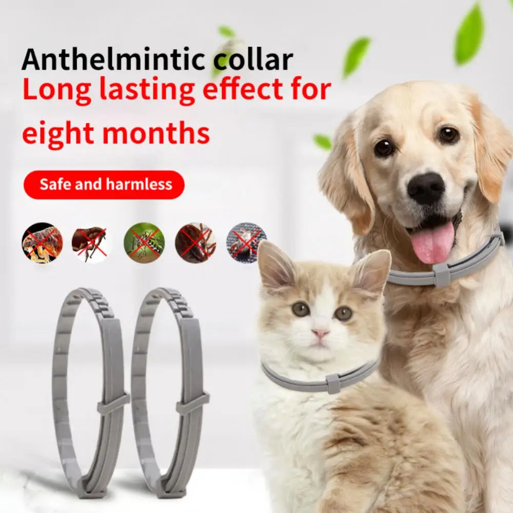 2/1PCS Dog Anti Flea And Ticks Cats Collar Pet 8 Month Protection Retractable Pet Collars Suitable For Puppy Cat Dog Accessories